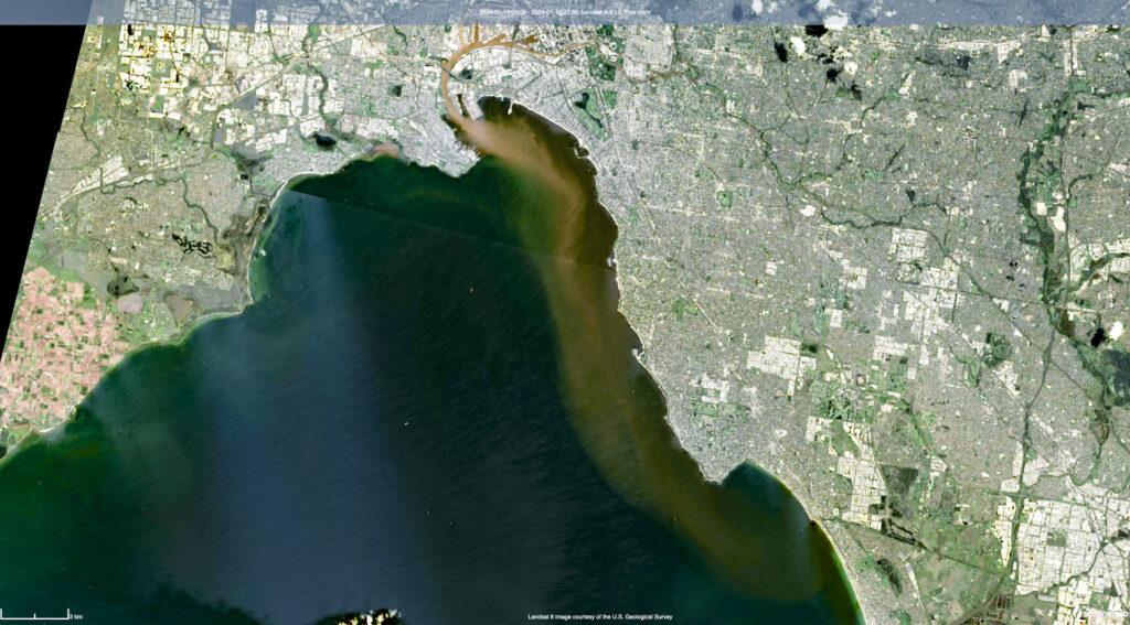 Impact of sewage spills in Port Phillip Bay, what is the impact? Viewed from the Landsar satellite (Sentinel Hub with contributions by ESA v3.51.1) the full extent can be seen as extending past Beaumaris. Snorkelers were reporting muddy water as far south as Frankston.