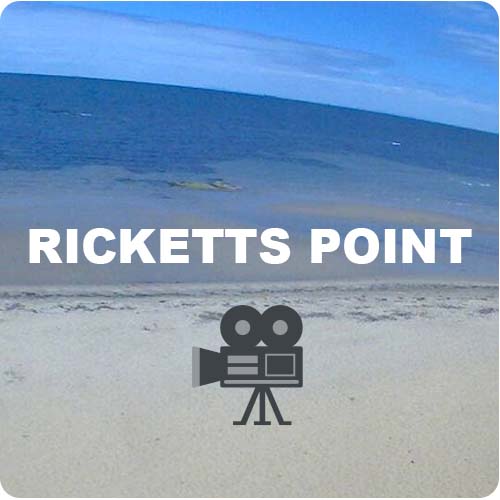 rickettscamera