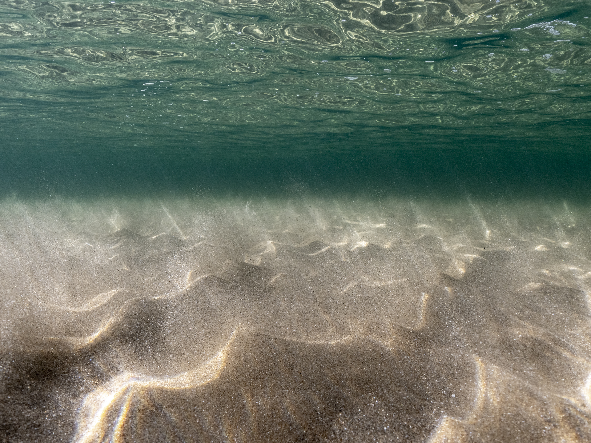 rickettsPoint-8 Sometimes it's not the animals that distract you. The waves and sun over the shallows were beautiful.
