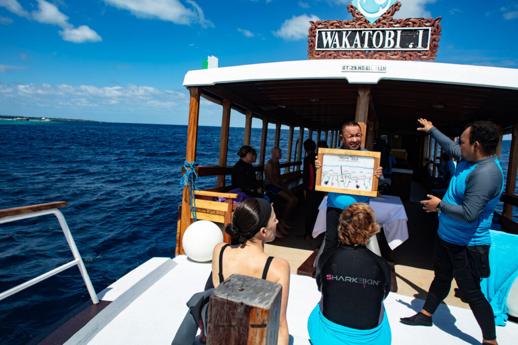 Snorkelling at Wakatobi Luxury Resort, 2024 trip report