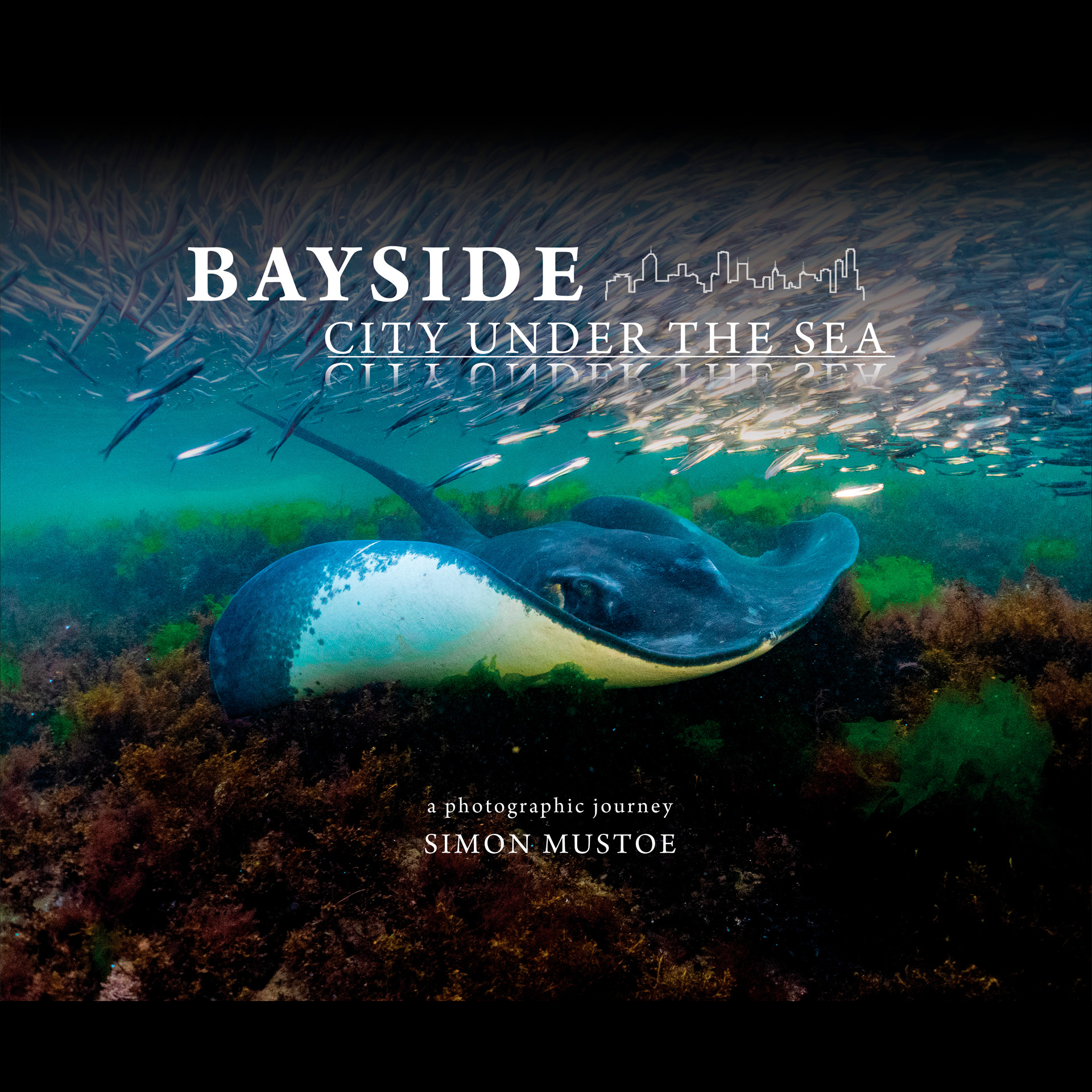 cover-image