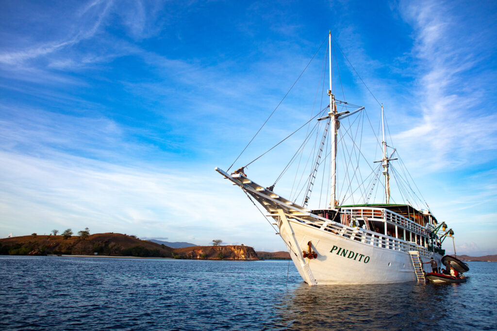 Komodo Expedition Cruise, Dragons and Dragonets,