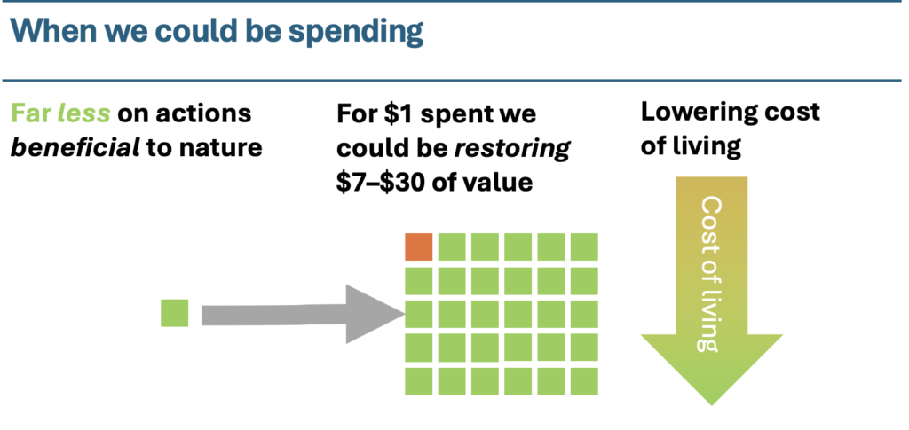 Lessons From Nature teach us that restoring ecosystems can rapidly recoup the wealth we've lost over decades and reverse our decline