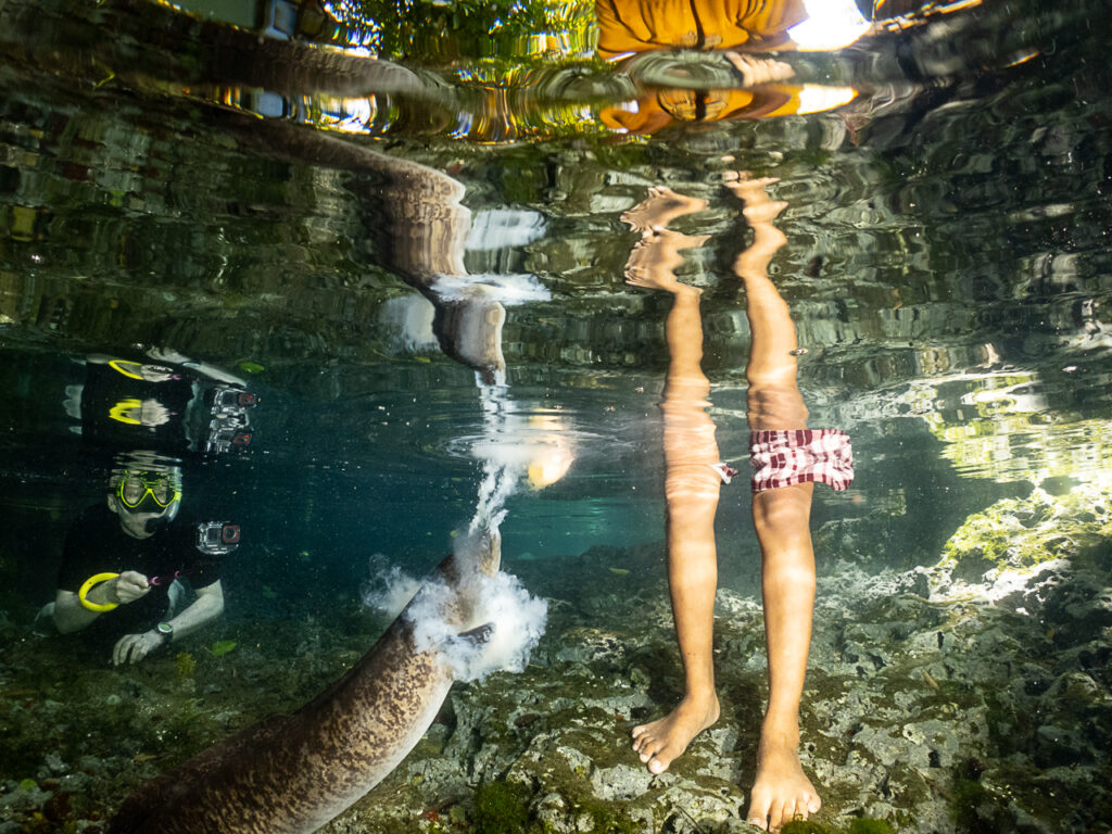 Snorkelling with the Sacred Eels of Waii in beautiful Ambon