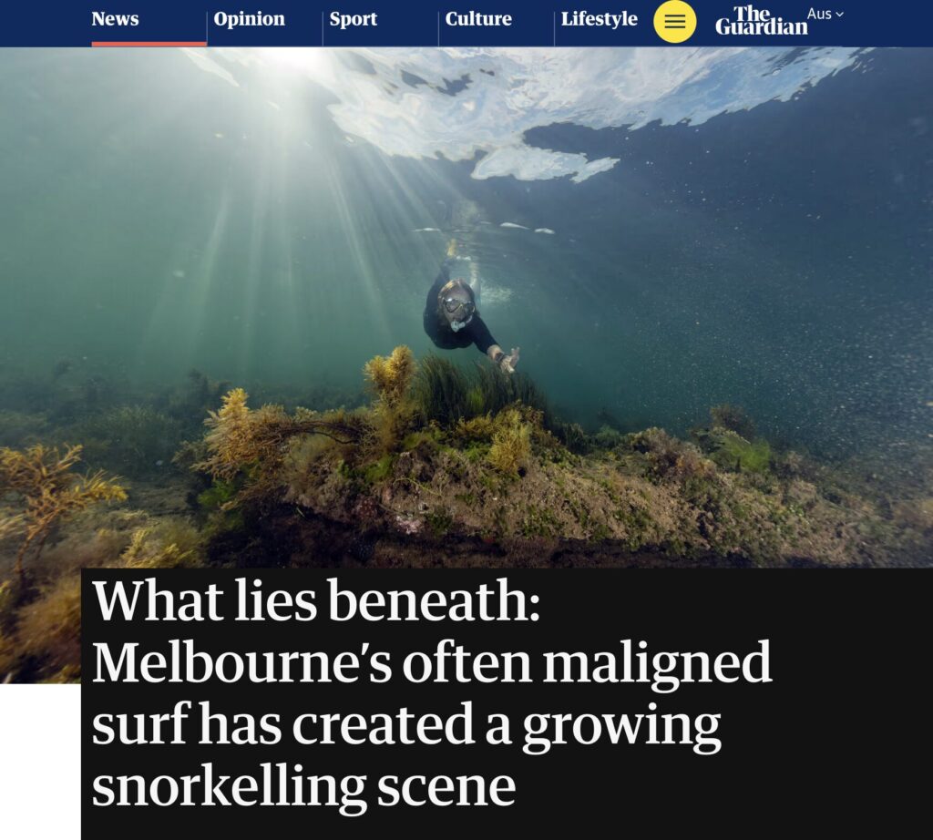 What lies beneath Melbourne snorkelling