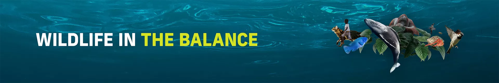 Wildlife in the Balance
