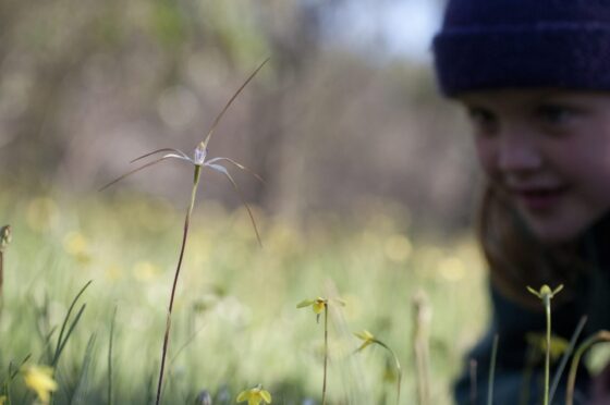 The disconnect between Australia’s beauty and its nature writing
