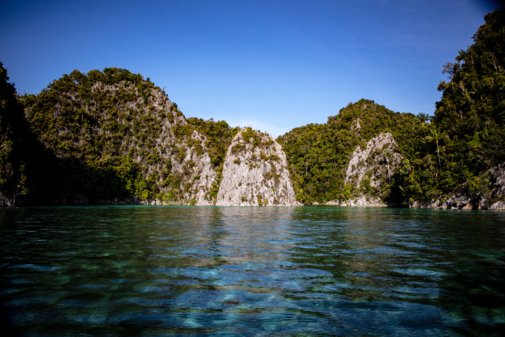 trip report Raja Ampat, Fak-Fak and Triton Bay